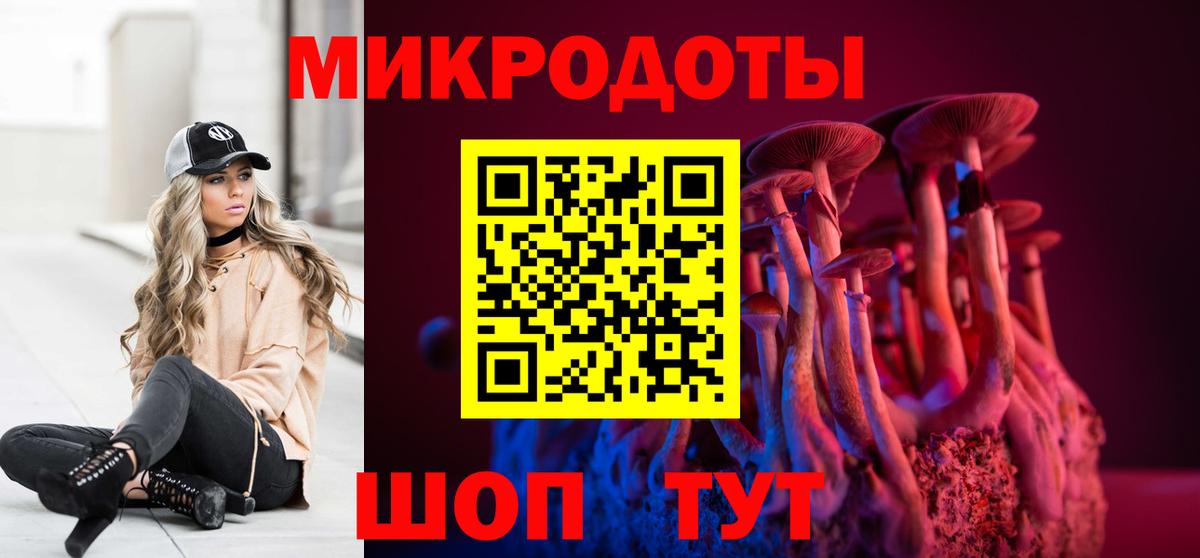 Северобайкальск  Галлюциногенные грибы Psilocybine cubensis  Вход с VPN  Галлюциногенные грибы мухоморы 