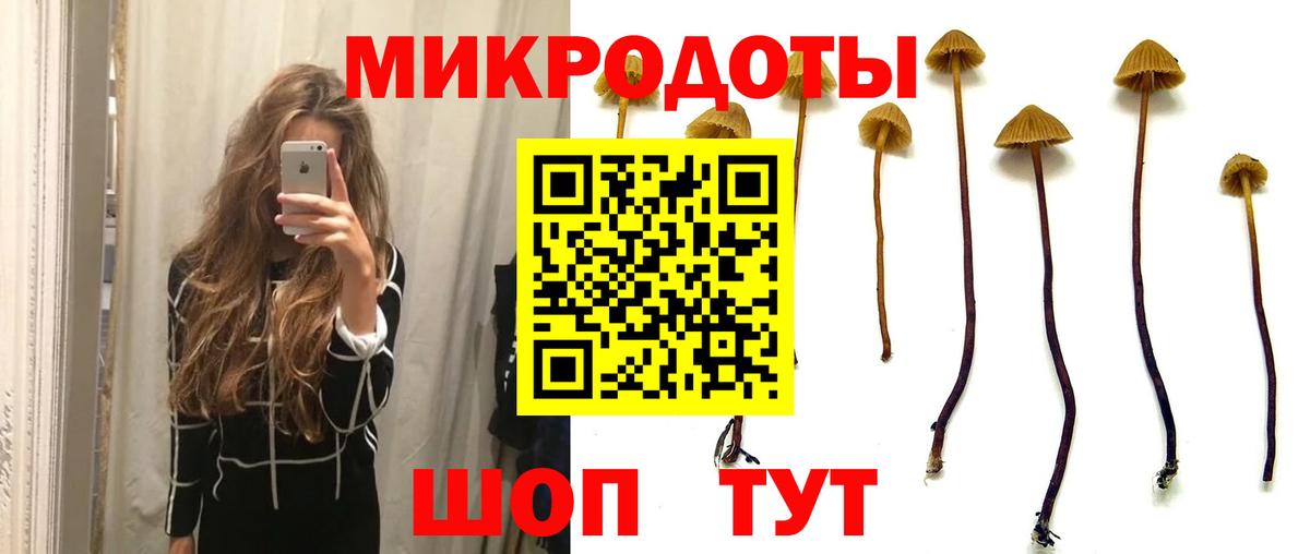 Псилоцибиновые грибы мухоморы Северобайкальск